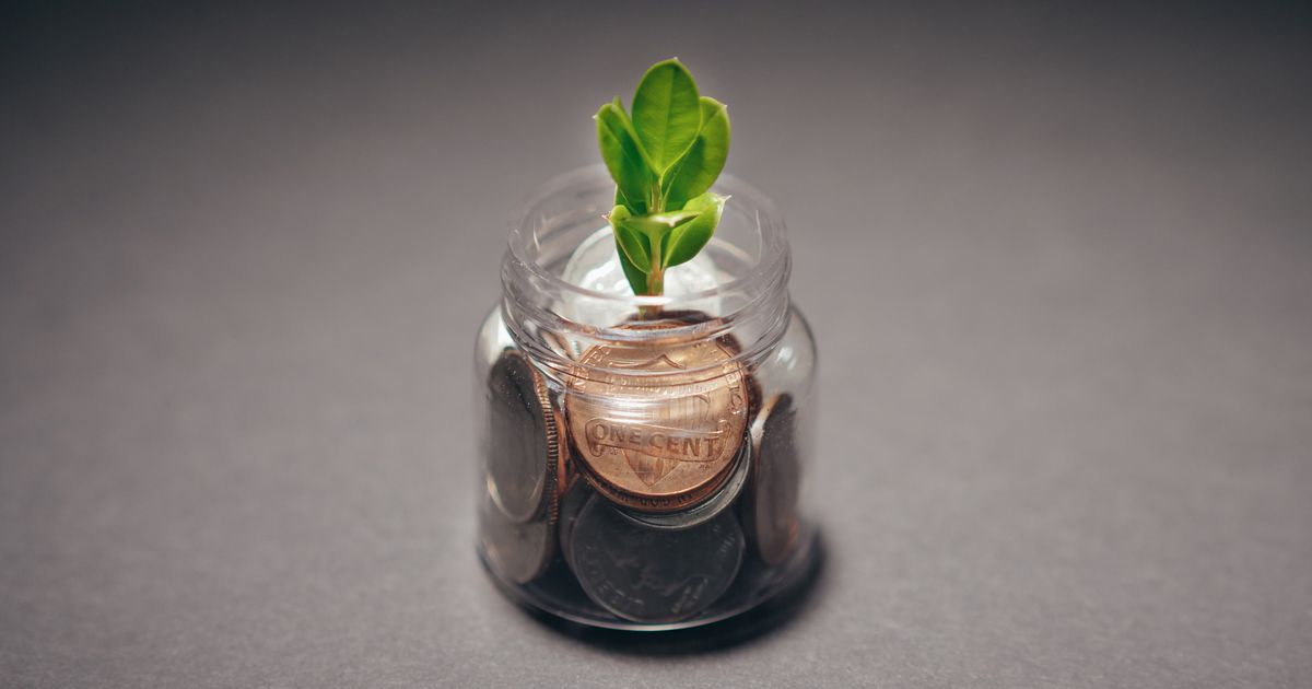 Green plant above a glass jar of coins