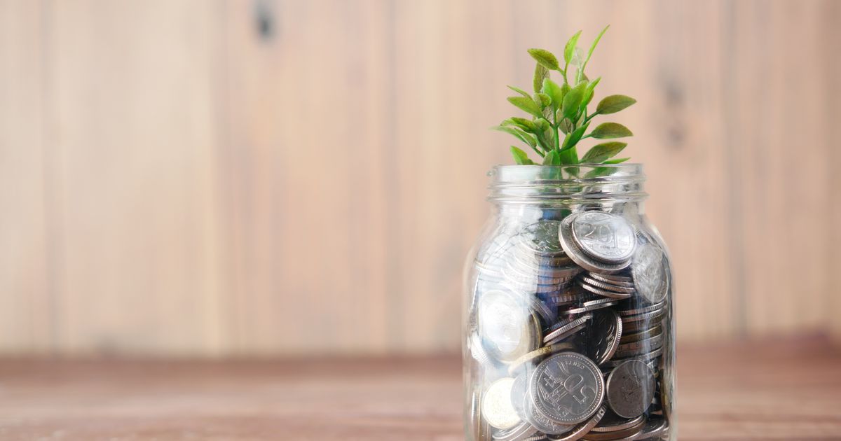 Small plant growing above a jar filled with coins
